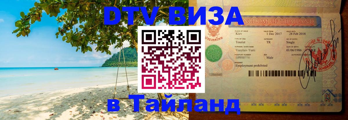 Оформление DTV визы под ключ: стоимость и тарифы, только загранпаспорт - 
